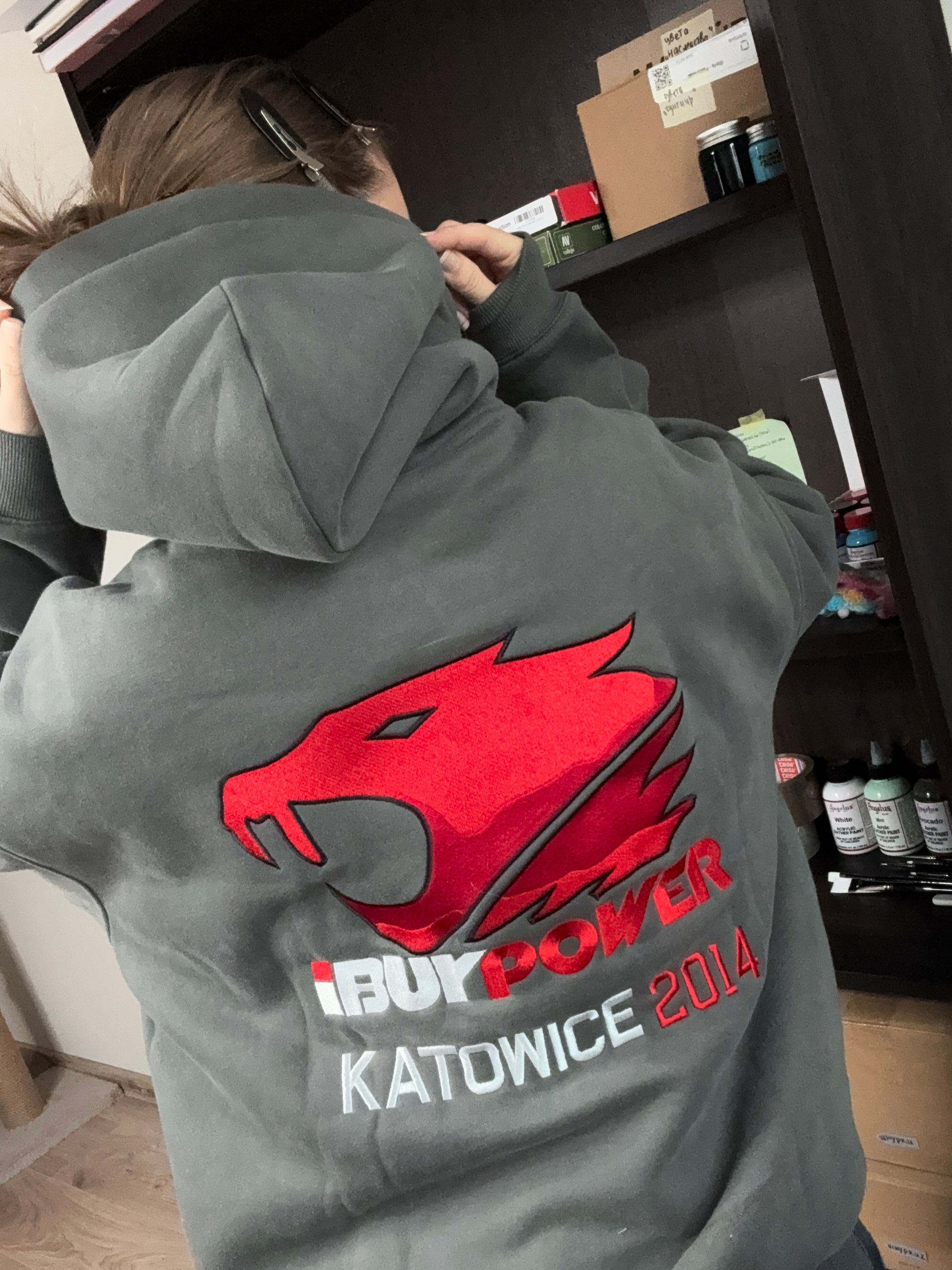 Hoodie BIG iBUYPOWER Holo Katowice 2014