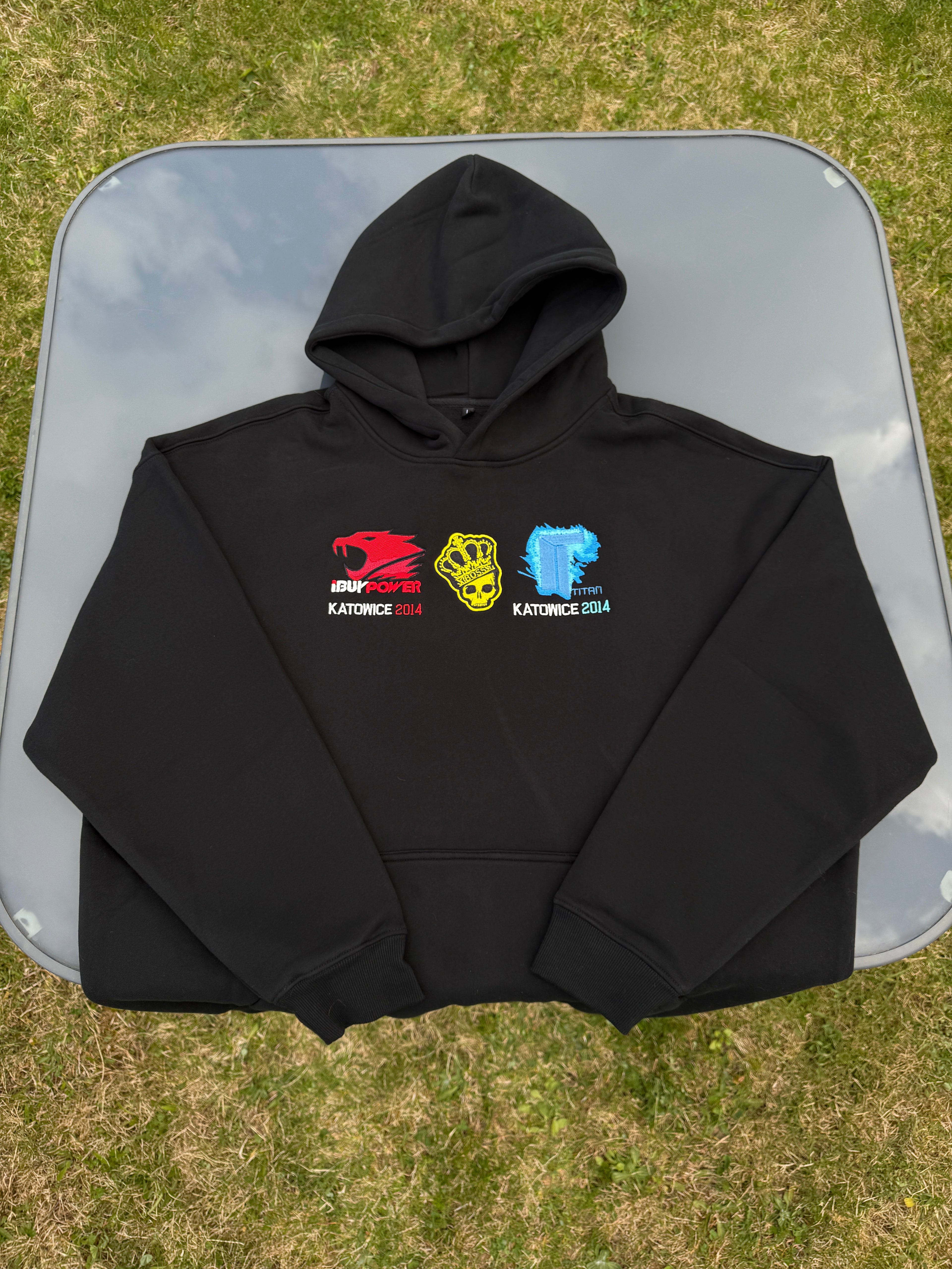 Hoodie iBUYPOWER Holo   Crown   Titan Holo